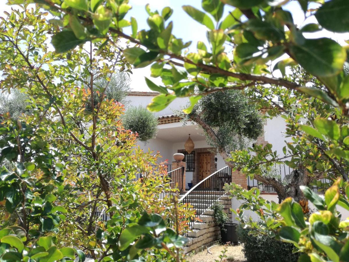 Casa Rural La Amistad Villa Burguillos de Toledo Exterior photo