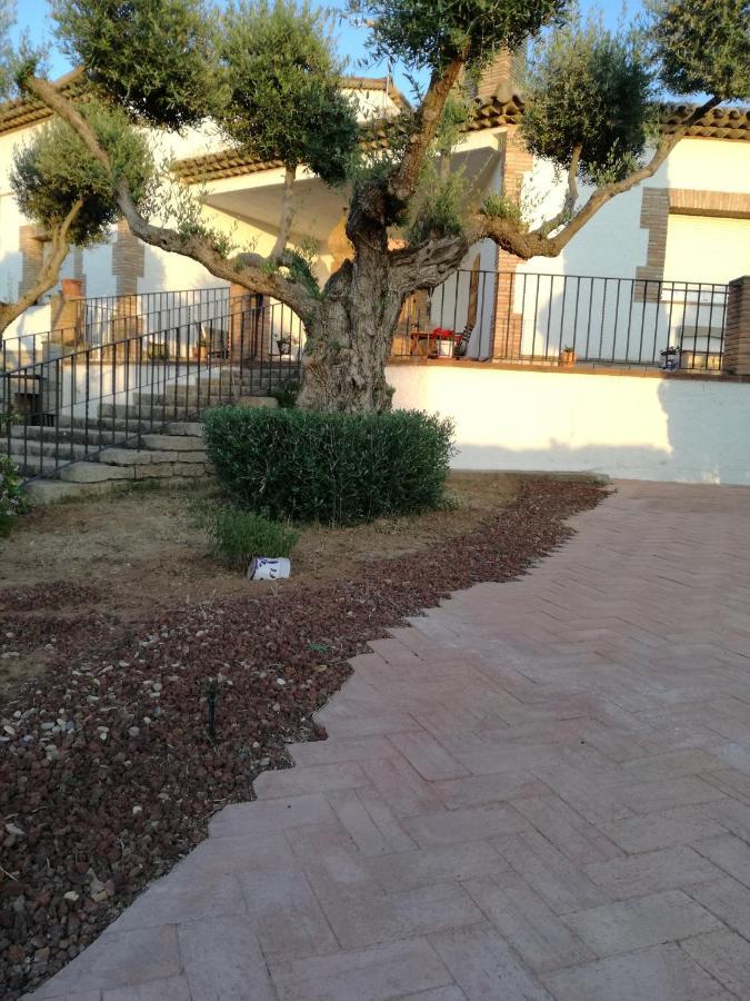 Casa Rural La Amistad Villa Burguillos de Toledo Exterior photo